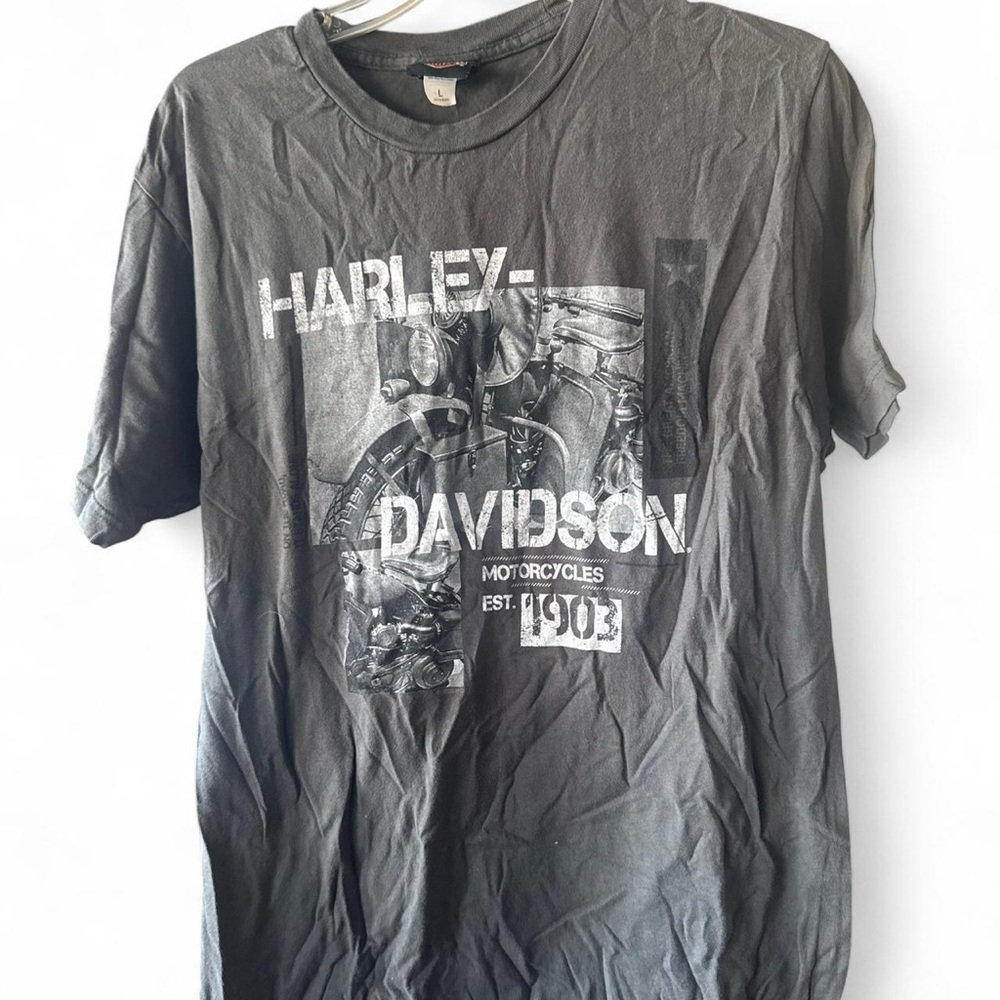 Harley-Davidson Graphic Men's T-Shirt